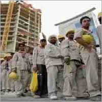 Contract Labour Services