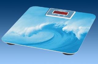 Portable Digital Weighing Scales