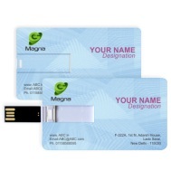 Promotional Card Pen Drives
