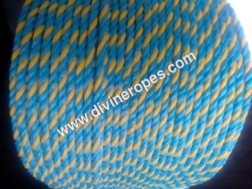Parramatta Rope