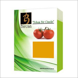 Tomato Shams Seed