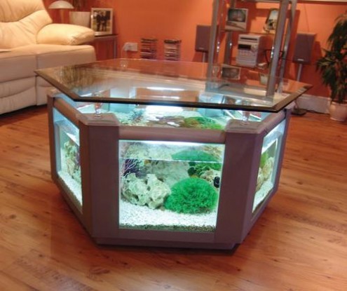 Glass Aquarium Center Table