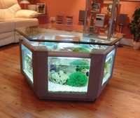 Glass Aquarium Center Table - Finish: Polished
