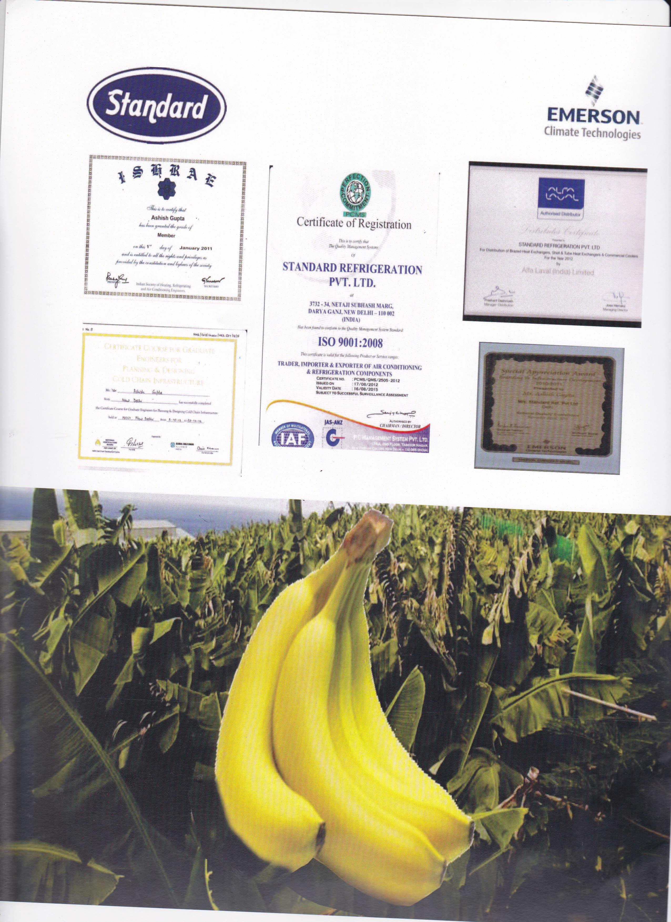 Banana Ripening System