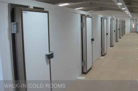 Modular Cold Room