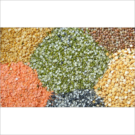 Indian Pulses