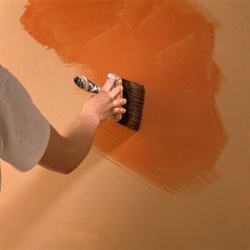 Plastic Emulsion Paint