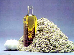 Cotton Seed Oil