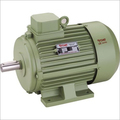 Light Duty Electric Motor