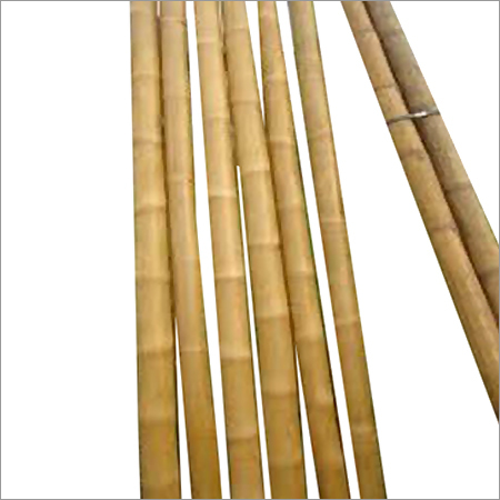 Bamboo Pole