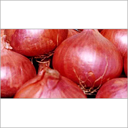 Red Onions