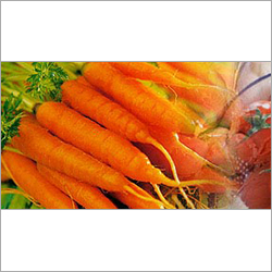 Fresh Vegetables