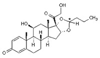Budesonide - API
