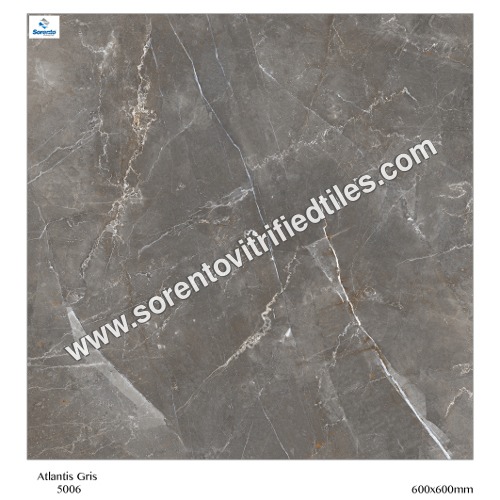 Grey Digital Vitrified Floor Tiles