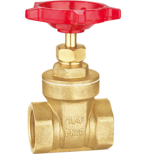 Brass gate valves 