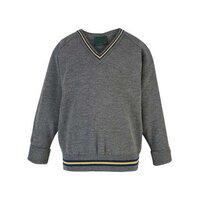 Cotton V Neck School Sweater