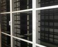 Pvc Mosquito Net Window - Color: White