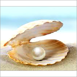 Pearl Gemstone