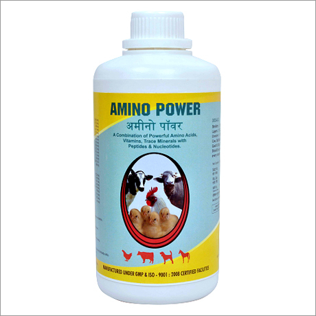 Layer Feed Supplements