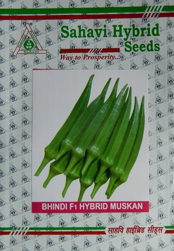 Bhindi seeds
