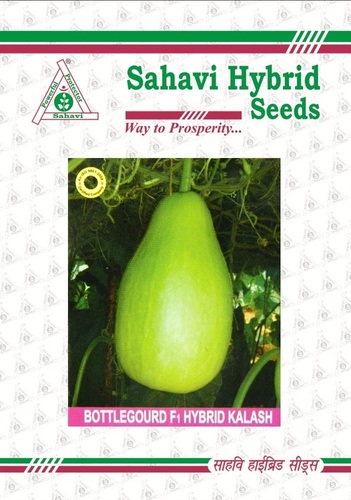 Bottlegourd F1 Hybrid Kalash Seeds