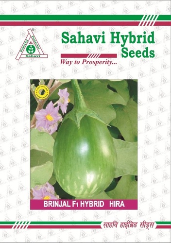 Brinjal F1 Hybrid Hira