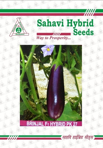 Brinjal F1 Hybrid PK 27