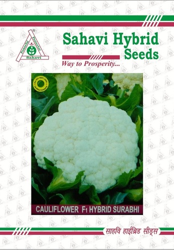 Cauliflower F1 Hybrid Surabhi