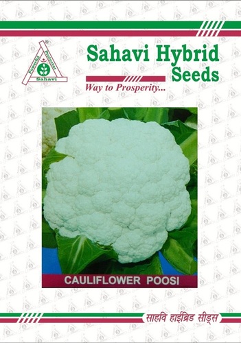 White And Green Cauliflower Poosi