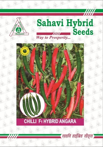 Chilli F-1 Hybrid Angara