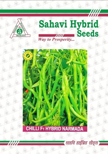 Chilli F1 Hybrid Narmada