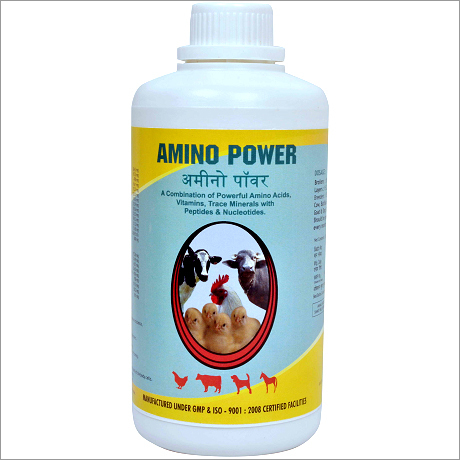 Cattle Feed Supplements