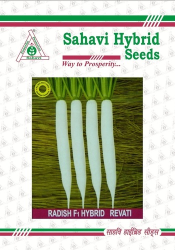 Radish F1Hybrid Revati