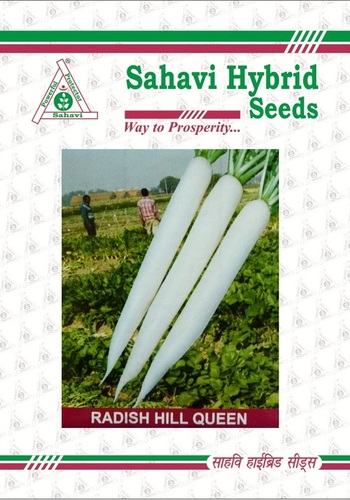 Radish Hill Queen