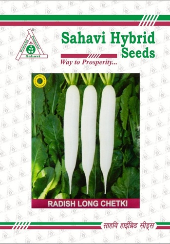 Radish Long Chetki