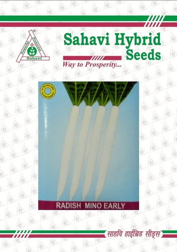 Radish Mino Early