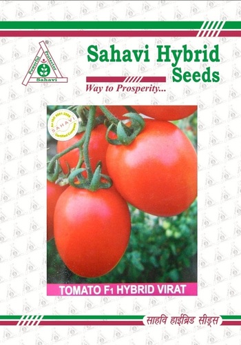 Tomato F-1 Hybrid Virat