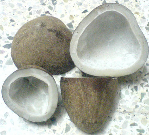 Coconut Copra