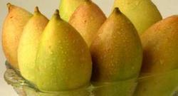 Jumbo Totapuri Mango