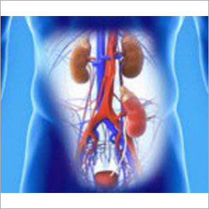Bone Marrow Transplant