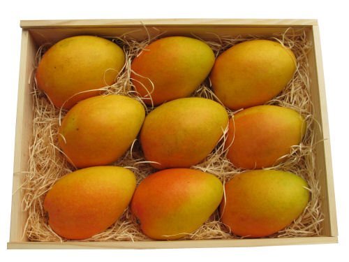 Banganapalli Mango