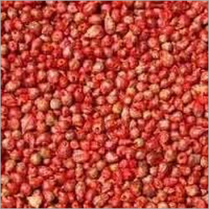 Seed Coating Polymer