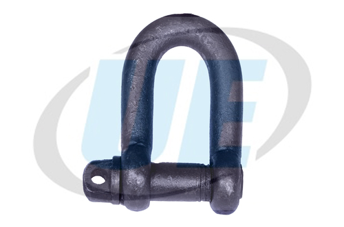 D Shackles Gr-63 Screw Pin Type Indian