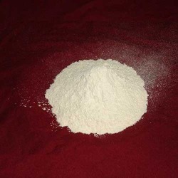 White Onion Powder
