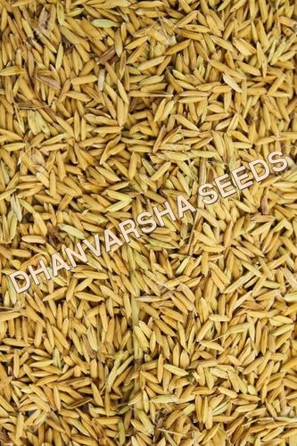 Pr 114 Paddy Seed