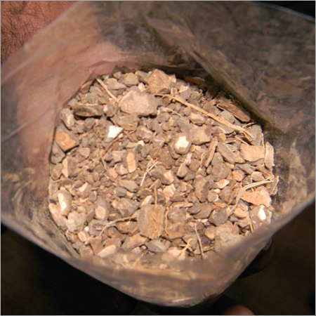 Brown Cracked Coconut Shells