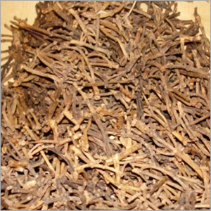 Clove Stem