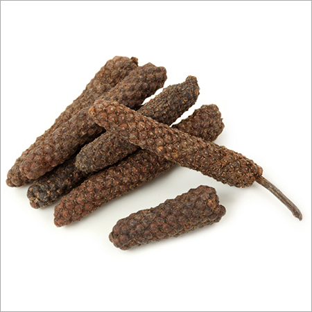 Pepper