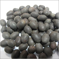 Black Lotus Seed