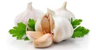 Organic Garlic